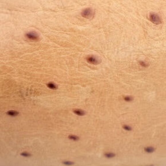 Vintage Dooney & Bourke Ostrich Embossed Leather Shoulder Bag Satchel Tan - Picture 9 of 14